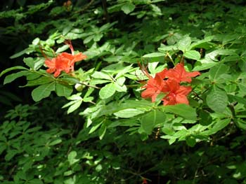 2007 045