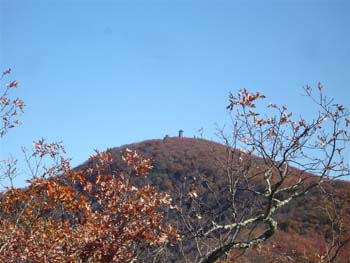 DralaHike005