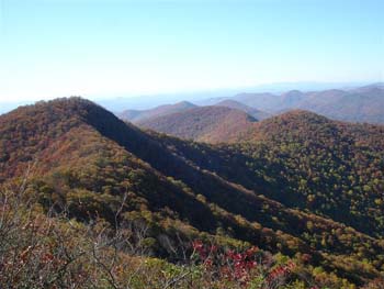 DralaHike009