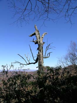 DSCN1645